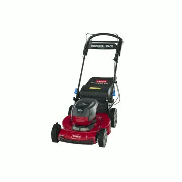 Toro Recycler 22 in. 150cc Gas Push Lawn Mower - Ace Hardware