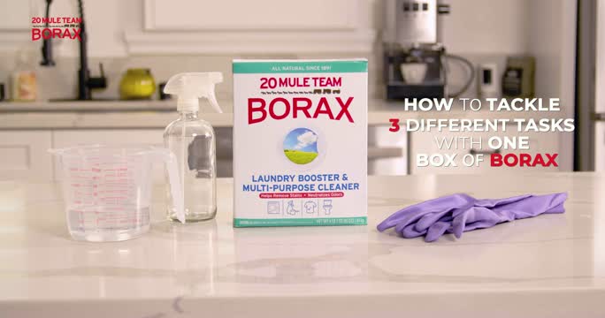Dial 20 Mule Team Borax Laundry Detergent Booster, Powder, 4 lb., 6-Pack at  Tractor Supply Co.