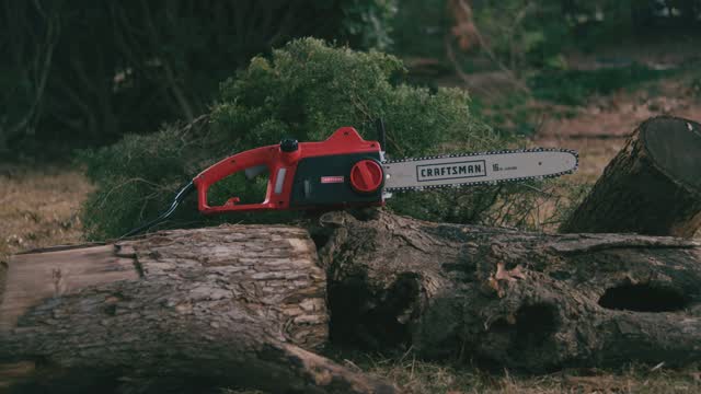 Craftsman electric chainsaw on sale oil type