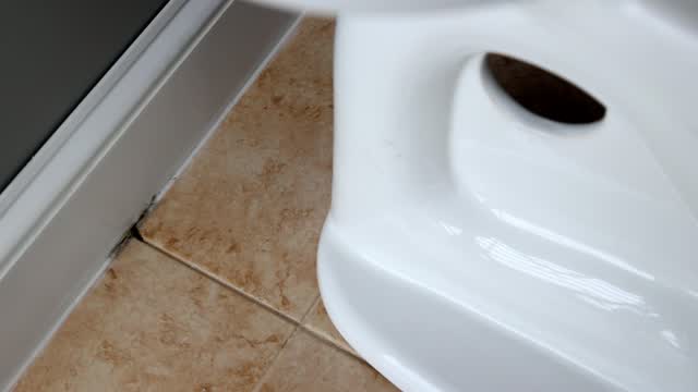 Caulking My Toilet Is Leaking Around The Bottom Caulking Water