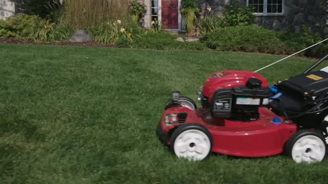 Toro lawn mowers at ace online hardware