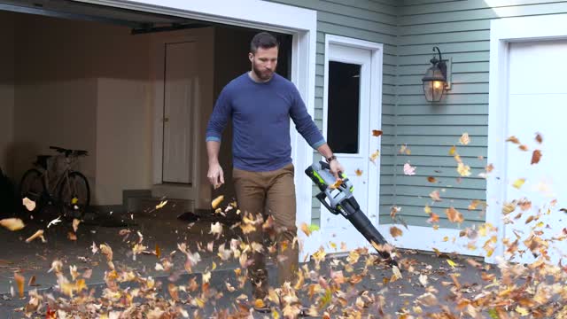 Ace hardware electric store leaf blower