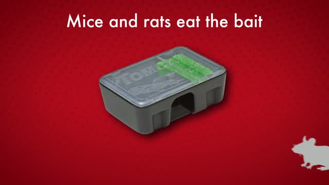 TOMCAT Refillable Bait Station Mouse Killer (8-Refill) - Town