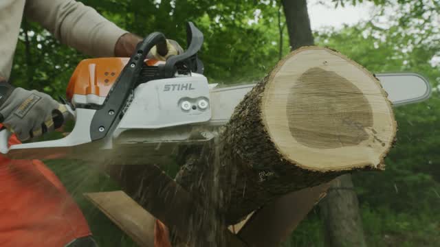 TRONÇONNEUSE THERMIQUE STIHL MS 391