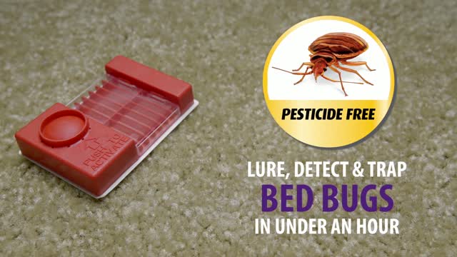Bed Bug Alert Pheromone Monitor and Trap By Bird-X
