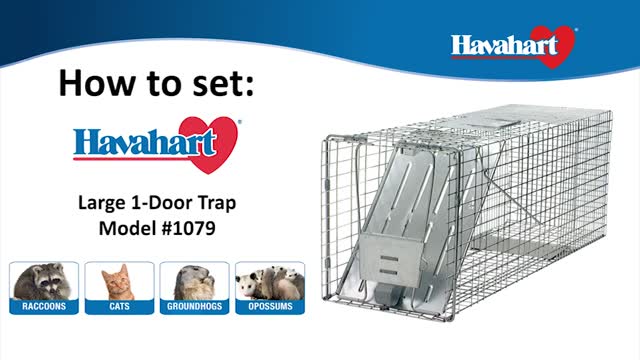 Havahart Large Live Catch Cage Trap For Cats and Raccoons 1 pk