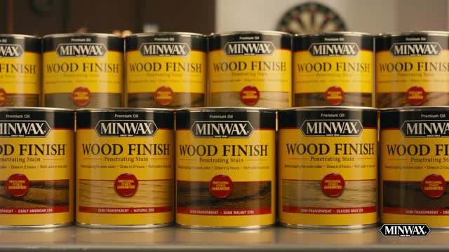 Minwax Wood Finish Water-Based True Black Solid Interior Stain (1