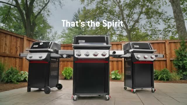 Weber Spirit E-310 Burner Liquid Propane Grill Black Mfr