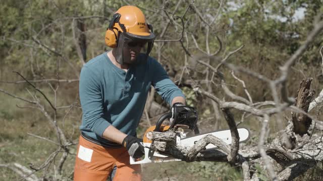 STIHL MS 261 16 in. 50.2 cc Gas Chainsaw Mfr# 11412000601 - Ace
