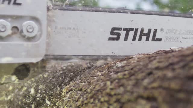 Scie à Chaîne Ms 170 Petit Et Fonctionnelle Avec Moteur 2-MIX STIHL - MS170  795711967451