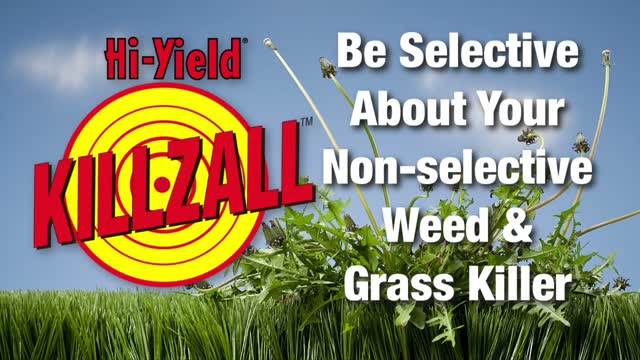 Hi-Yield Killzall 365 Vegetation Control Concentrate 32 oz Mfr