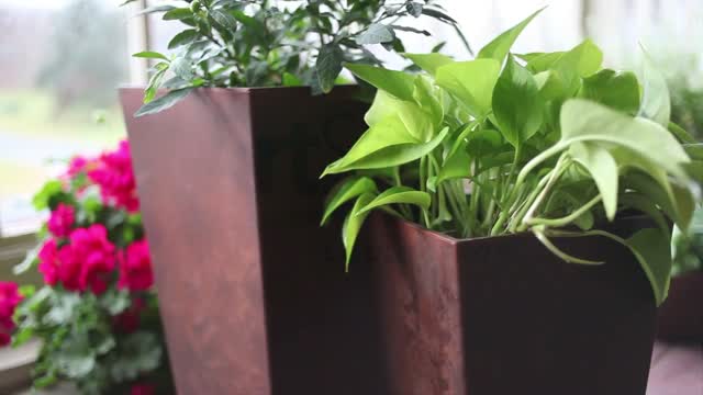 Novelty Artstone 11.5 in. H X 11.8 in. W X 11.8 in. D Resin Ella Planter Black