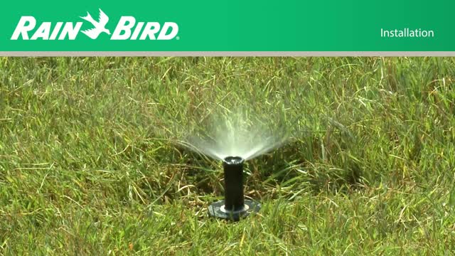 Rain Bird 1800 Series 4 in. H Adjustable Pop-Up Sprinkler - Ace
