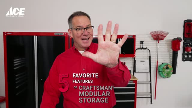 Craftsman 18 in. H X 28 in. W X 12 in. D Black/Red Steel Wall