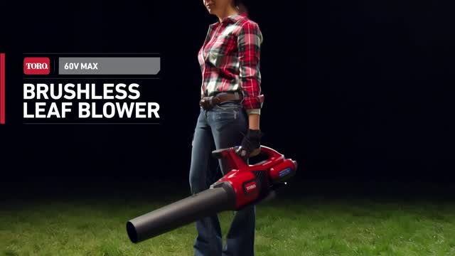 Toro deals 40v blower