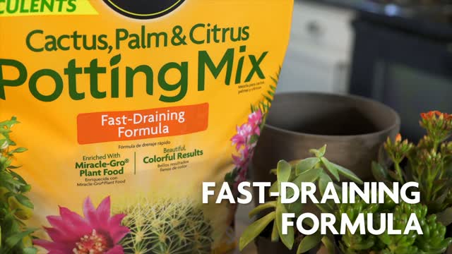 Miracle Gro Fast Draining Cacti Citrus And Palm Potting Mix 8 Qt Ace Hardware