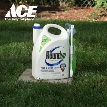 Roundup Weed and Grass Killer Refill RTU Liquid 1.25 gal - Ace Hardware