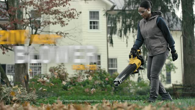 Dewalt leaf blower online 20 volt