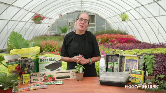 Jiffy 50 Cells 11 in. W X 22 in. L Seed Starting Kit 1 pk Mfr