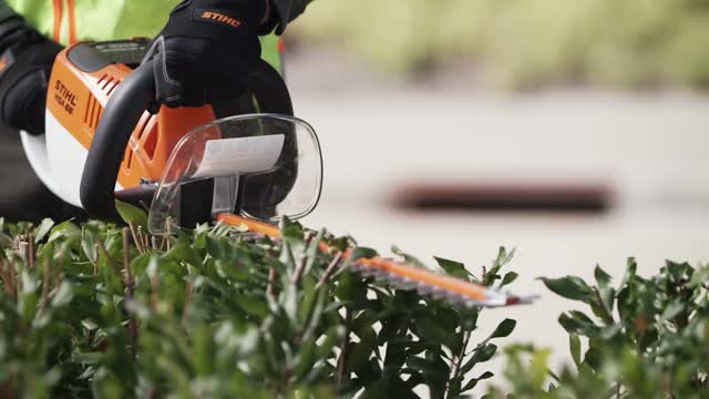 Electric hedge trimmer rentals with 16 blade near Milwaukee