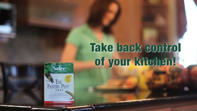 The Pantry Pest® Trap - 2-16 Traps