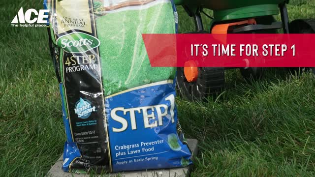 Scotts Step 1 Crabgrass Preventer Annual Program Lawn Fertilizer For  Multiple Grass Types 5000 sq ft - Ace Hardware