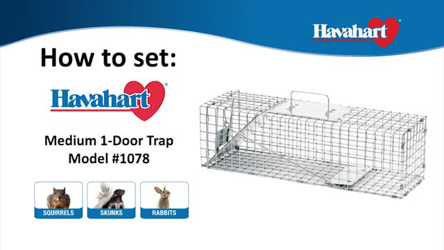 Havahart Live Catch Cage Trap For Rabbits and Skunks 1 pk
