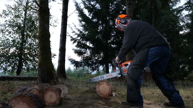 STIHL MS 291 Chainsaw, Fuel Efficient Chainsaws