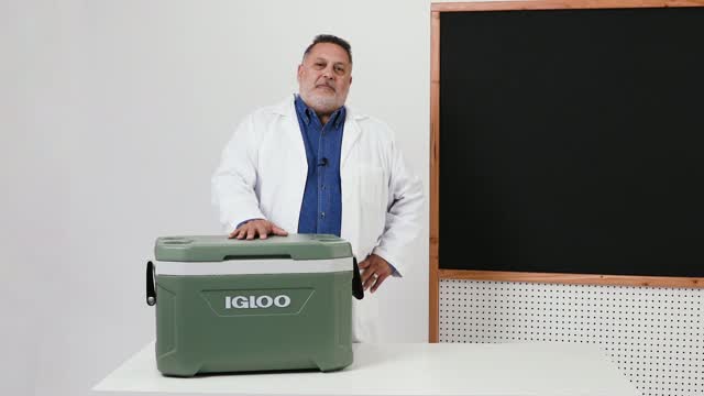 Cooler Igloo Wheelie Cool 38 Quart | 53 Latas | Rodas Para Transporte