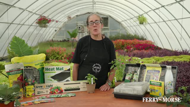 Ferry-Morse 7 Cells 5 in. H X 4 in. W X 4 in. L Seed Starting Peat