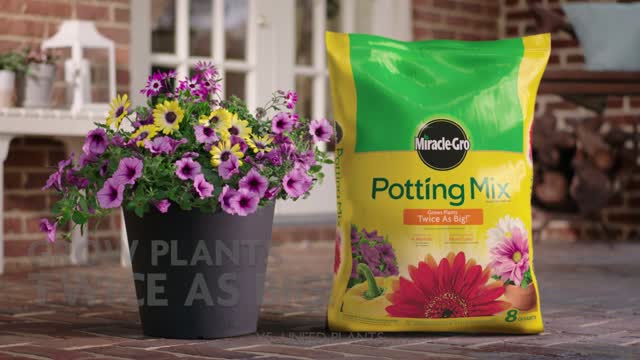 Miracle-Gro Flower and Plant Potting Mix 8 qt Mfr# 75678300 - Ace