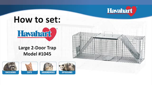 Havahart Large Live Catch Cage Trap For Raccoons 1 pk - Ace Hardware
