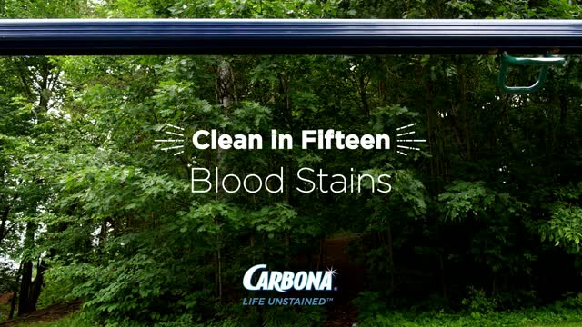 Carbona Stain Devil, Carbona Upholstery Cleaners