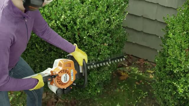 Ace stihl deals hedge trimmer