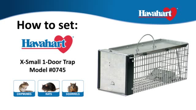 Havahart Easy Set Small 1-Door Animal Trap at Tractor Supply Co.