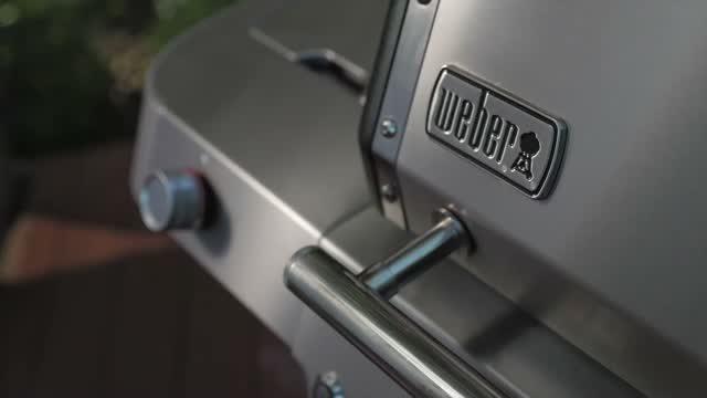 Weber Summit 600 Series Grill Parts: iGrill Pro Meat